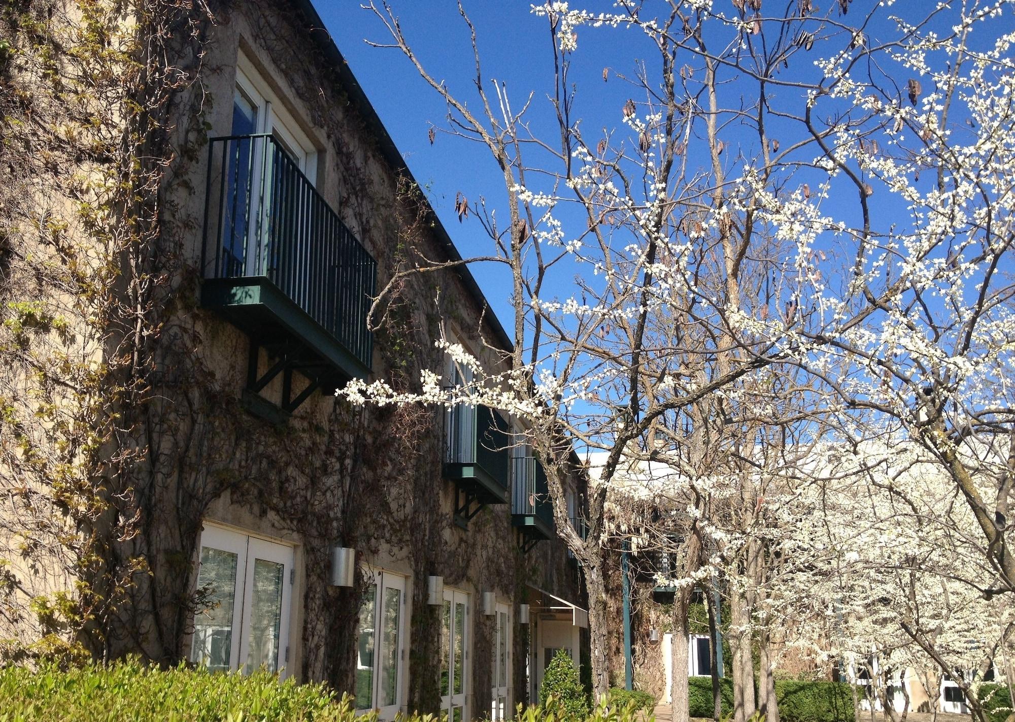 Southbridge Napa Valley St. Helena Zewnętrze zdjęcie